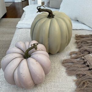 Decorative Pumpkins in green and grey. Set of two